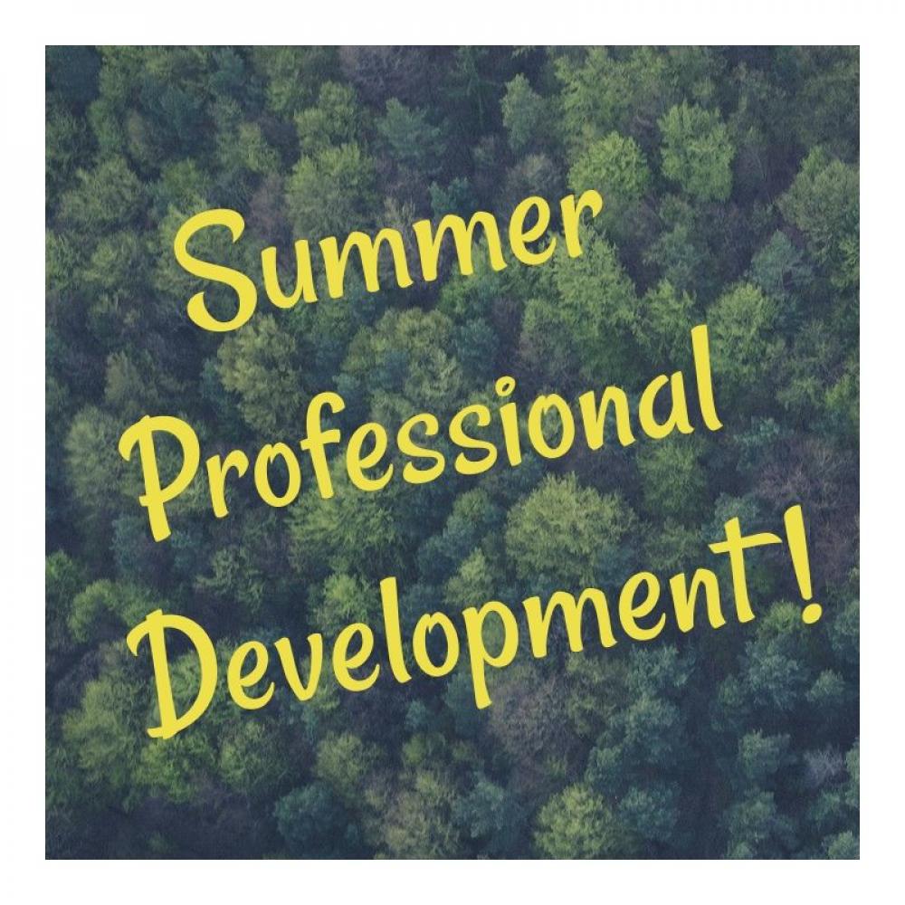 summer professional development