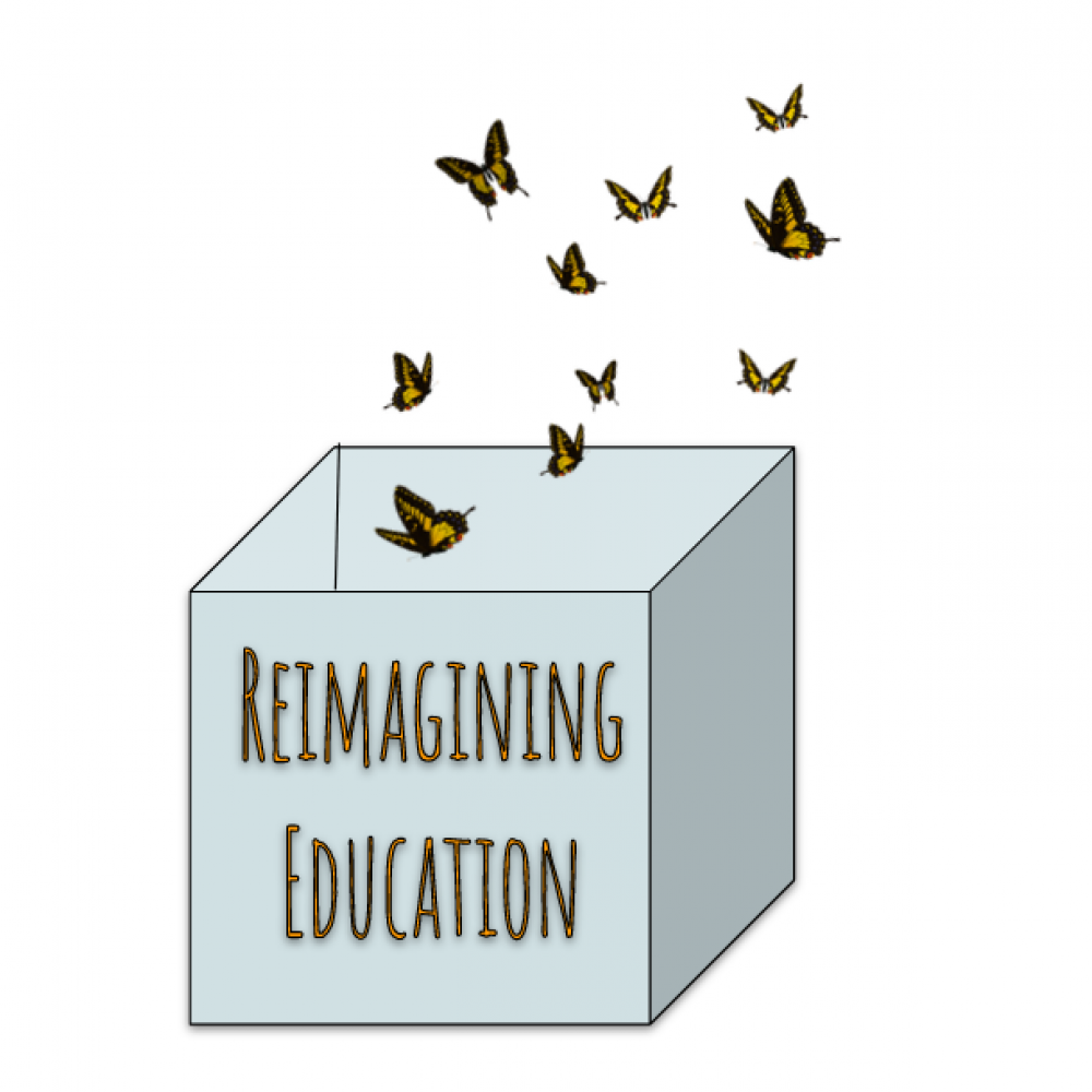 Reimagining Education Logo