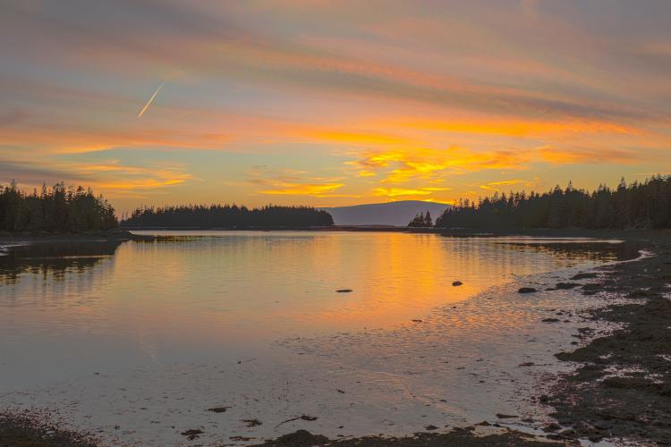 gulf of maine?