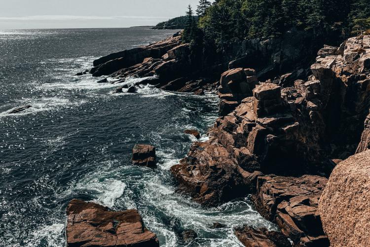 acadia shoreline