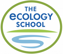 The ecology school logo