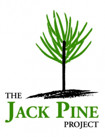 The Jack Pine Project